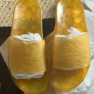 Coach Ulyssa Rubber Slide Size 6B NWB